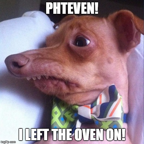 Tuna the dog (Phteven) | PHTEVEN! I LEFT THE OVEN ON! | image tagged in tuna the dog phteven | made w/ Imgflip meme maker