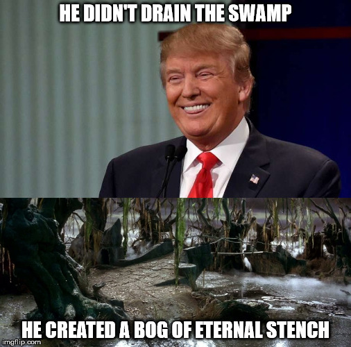 Suckers! | HE DIDN'T DRAIN THE SWAMP; HE CREATED A BOG OF ETERNAL STENCH | image tagged in drain the swamp | made w/ Imgflip meme maker