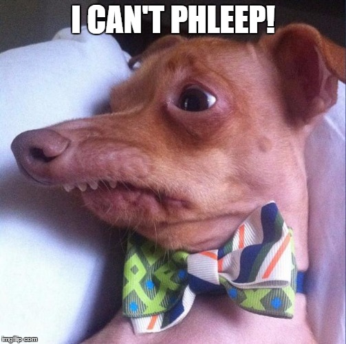 Tuna the dog (Phteven) | I CAN'T PHLEEP! | image tagged in tuna the dog phteven | made w/ Imgflip meme maker