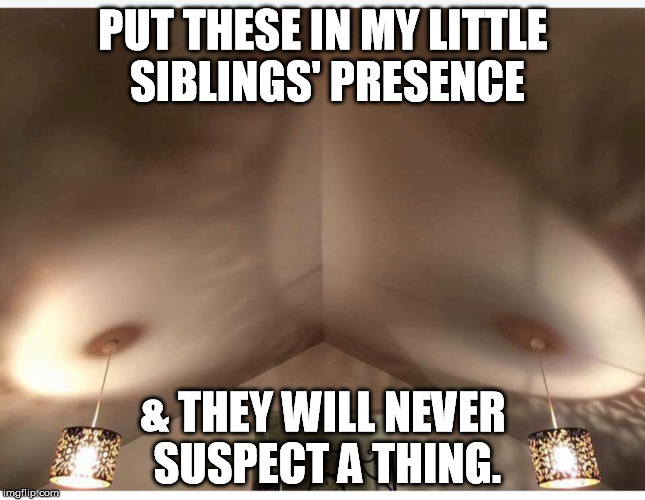 PUT THESE IN MY LITTLE SIBLINGS' PRESENCE; & THEY WILL NEVER SUSPECT A THING. | image tagged in mood lighting,boobs | made w/ Imgflip meme maker