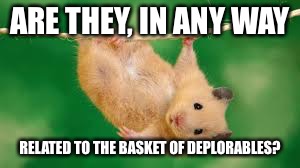 ARE THEY, IN ANY WAY RELATED TO THE BASKET OF DEPLORABLES? | made w/ Imgflip meme maker