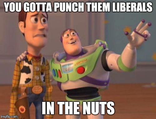 X, X Everywhere Meme | YOU GOTTA PUNCH THEM LIBERALS IN THE NUTS | image tagged in memes,x x everywhere | made w/ Imgflip meme maker