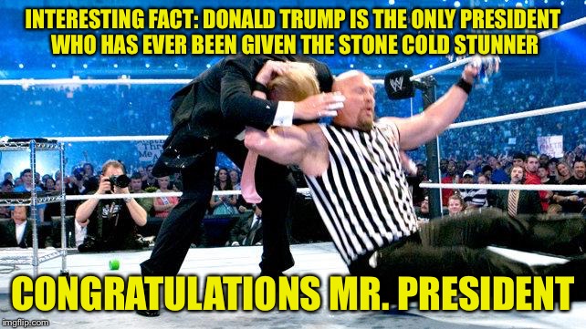 INTERESTING FACT: DONALD TRUMP IS THE ONLY PRESIDENT WHO HAS EVER BEEN GIVEN THE STONE COLD STUNNER; CONGRATULATIONS MR. PRESIDENT | image tagged in donald trump | made w/ Imgflip meme maker