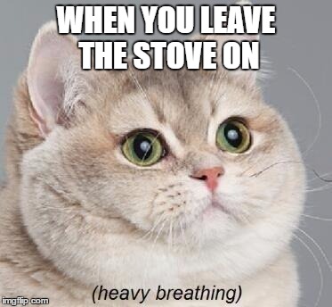 Heavy Breathing Cat | WHEN YOU LEAVE THE STOVE ON | image tagged in memes,heavy breathing cat | made w/ Imgflip meme maker