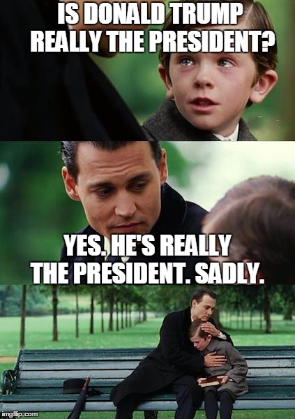 Finding Neverland | IS DONALD TRUMP REALLY THE PRESIDENT? YES. HE'S REALLY THE PRESIDENT. SADLY. | image tagged in memes,finding neverland | made w/ Imgflip meme maker