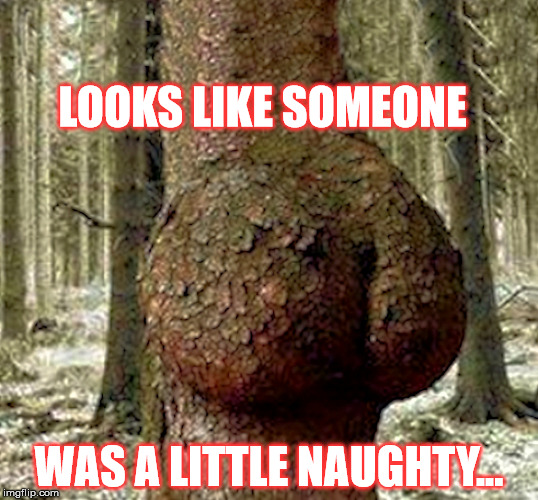 Naughty tree | LOOKS LIKE SOMEONE; WAS A LITTLE NAUGHTY... | image tagged in kardashian family tree,naughty,spanked | made w/ Imgflip meme maker
