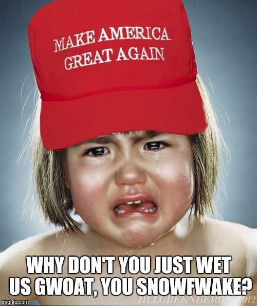 WHY DON'T YOU JUST WET US GWOAT, YOU SNOWFWAKE? | made w/ Imgflip meme maker