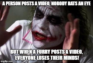 Everyone does lose their minds. | A PERSON POSTS A VIDEO, NOBODY BATS AN EYE; BUT WHEN A FURRY POSTS A VIDEO, EVERYONE LOSES THEIR MINDS! | image tagged in everyone loses their minds,furry,meme,video | made w/ Imgflip meme maker