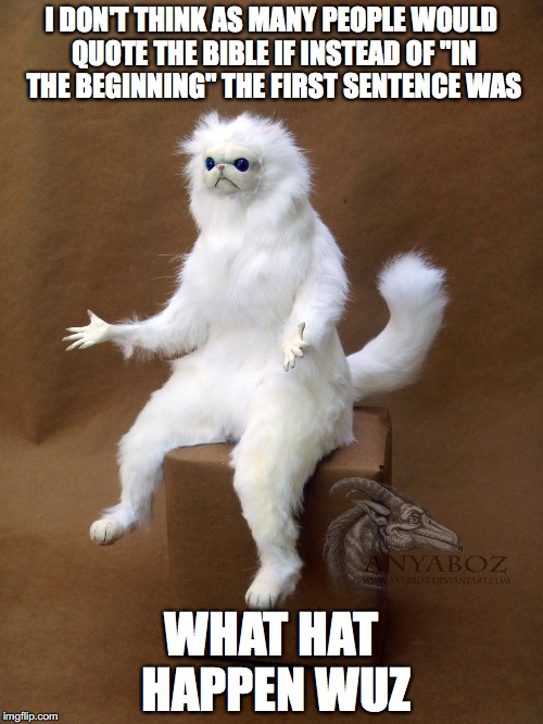 Persian Cat Room Guardian Single Meme | I DON'T THINK AS MANY PEOPLE WOULD QUOTE THE BIBLE IF INSTEAD OF "IN THE BEGINNING" THE FIRST SENTENCE WAS; WHAT HAT HAPPEN WUZ | image tagged in memes,persian cat room guardian single | made w/ Imgflip meme maker