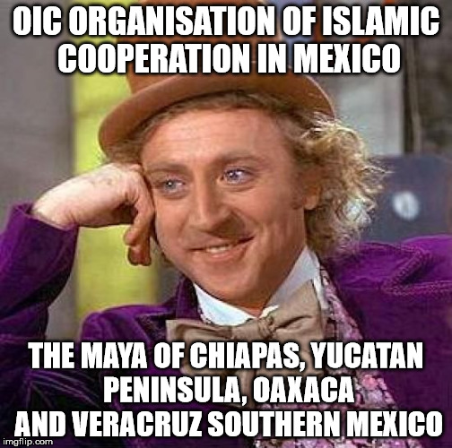 Creepy Condescending Wonka Meme | OIC ORGANISATION OF ISLAMIC COOPERATION IN MEXICO; THE MAYA OF CHIAPAS, YUCATAN PENINSULA, OAXACA AND VERACRUZ SOUTHERN MEXICO | image tagged in memes,creepy condescending wonka | made w/ Imgflip meme maker