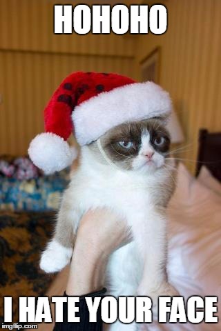 Grumpy Cat Christmas | HOHOHO; I HATE YOUR FACE | image tagged in memes,grumpy cat christmas,grumpy cat | made w/ Imgflip meme maker