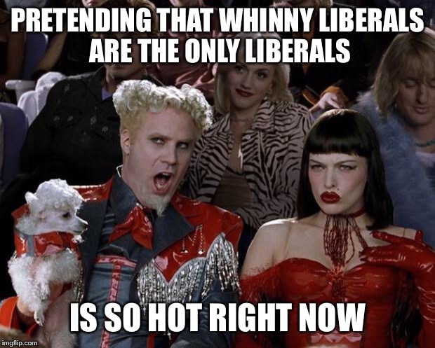 Mugatu So Hot Right Now Meme | PRETENDING THAT WHINNY LIBERALS ARE THE ONLY LIBERALS IS SO HOT RIGHT NOW | image tagged in memes,mugatu so hot right now | made w/ Imgflip meme maker