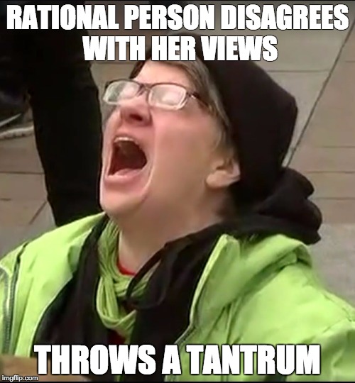 RATIONAL PERSON DISAGREES WITH HER VIEWS; THROWS A TANTRUM | image tagged in crying_liberal | made w/ Imgflip meme maker