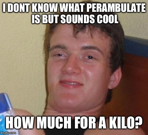 10 Guy Meme | I DONT KNOW WHAT PERAMBULATE IS BUT SOUNDS COOL HOW MUCH FOR A KILO? | image tagged in memes,10 guy | made w/ Imgflip meme maker