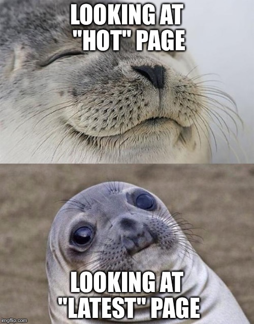 Scarred for life by the stupidity  | LOOKING AT "HOT" PAGE; LOOKING AT "LATEST" PAGE | image tagged in memes,short satisfaction vs truth,stupid | made w/ Imgflip meme maker