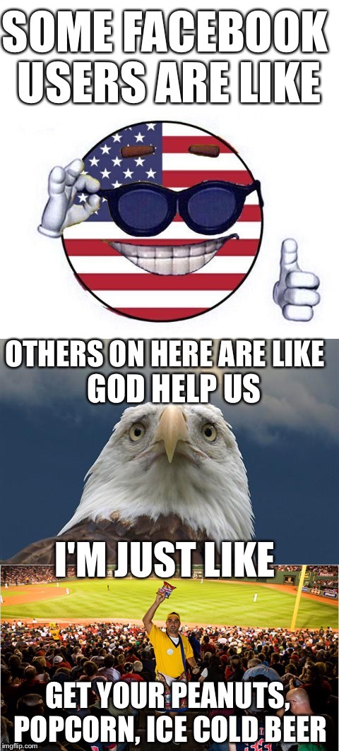 Everyone summed up | GOD HELP US | image tagged in funny,american eagle,americans,be like,im like,selling at ballpark | made w/ Imgflip meme maker