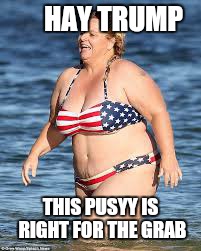 HAY TRUMP THIS PUSYY IS RIGHT FOR THE GRAB | made w/ Imgflip meme maker