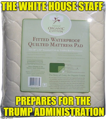 white house prepares for trump | THE WHITE HOUSE STAFF; PREPARES FOR THE TRUMP ADMINISTRATION | image tagged in donald trump,trump,russia,white house,pee | made w/ Imgflip meme maker