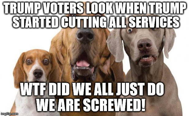Dogs Surprised |  TRUMP VOTERS LOOK WHEN TRUMP STARTED CUTTING ALL SERVICES; WTF DID WE ALL JUST DO        WE ARE SCREWED! | image tagged in dogs surprised | made w/ Imgflip meme maker