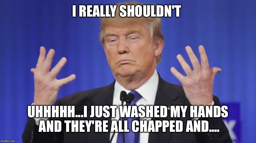 I REALLY SHOULDN'T UHHHHH...I JUST WASHED MY HANDS AND THEY'RE ALL CHAPPED AND.... | made w/ Imgflip meme maker