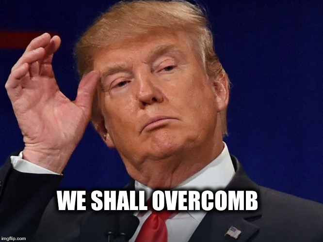 We Shall Overcomb | WE SHALL OVERCOMB | image tagged in donald trump | made w/ Imgflip meme maker