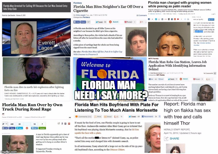 Florida Man | FLORIDA MAN; NEED I SAY MORE? | image tagged in florida man | made w/ Imgflip meme maker