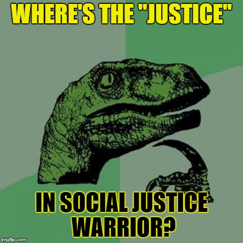 Philosoraptor | WHERE'S THE "JUSTICE"; IN SOCIAL JUSTICE WARRIOR? | image tagged in memes,philosoraptor | made w/ Imgflip meme maker