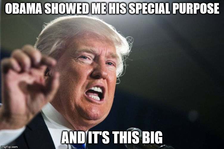 donald trump | OBAMA SHOWED ME HIS SPECIAL PURPOSE; AND IT'S THIS BIG | image tagged in donald trump | made w/ Imgflip meme maker