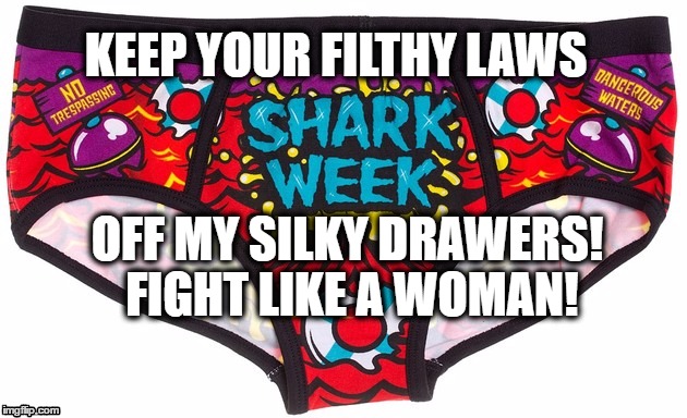 Keep your Filthy Laws Off My Silky Drawers! | KEEP YOUR FILTHY LAWS; OFF MY SILKY DRAWERS! FIGHT LIKE A WOMAN! | image tagged in nasty woman | made w/ Imgflip meme maker