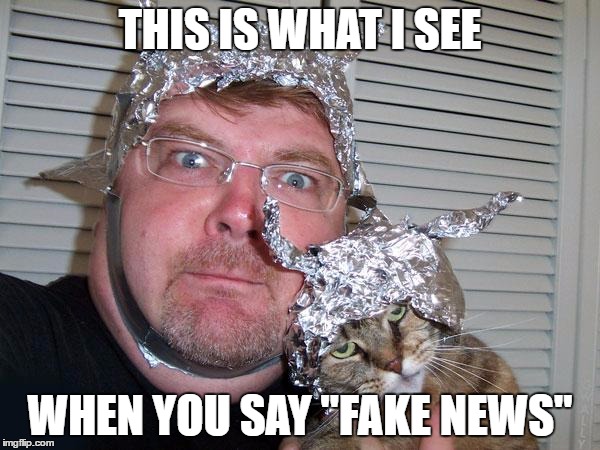 tin foil hat | THIS IS WHAT I SEE; WHEN YOU SAY "FAKE NEWS" | image tagged in tin foil hat,fake news,news,republican,conservative,liberals vs conservatives | made w/ Imgflip meme maker