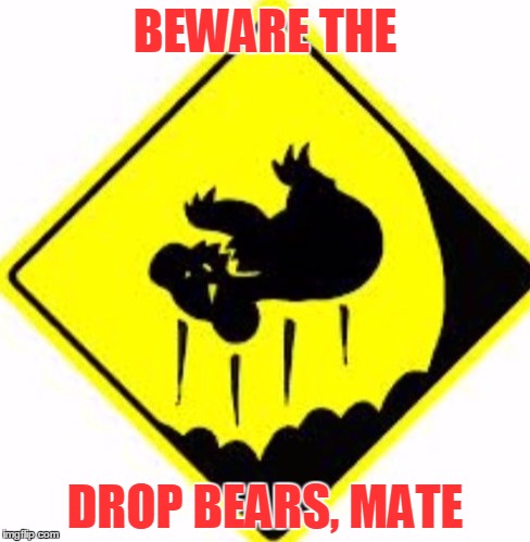 BEWARE THE DROP BEARS, MATE | made w/ Imgflip meme maker