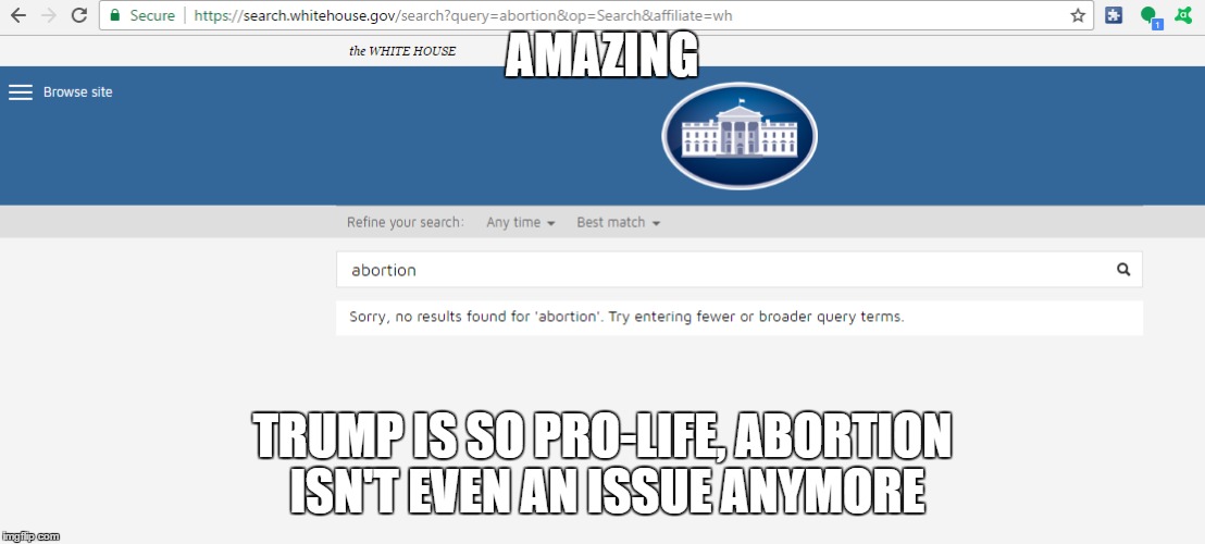 AMAZING; TRUMP IS SO PRO-LIFE, ABORTION ISN'T EVEN AN ISSUE ANYMORE | image tagged in memes,politics,abortion,trump | made w/ Imgflip meme maker