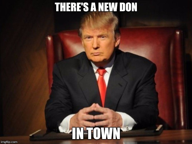 donald trump | THERE'S A NEW DON; IN TOWN | image tagged in donald trump | made w/ Imgflip meme maker