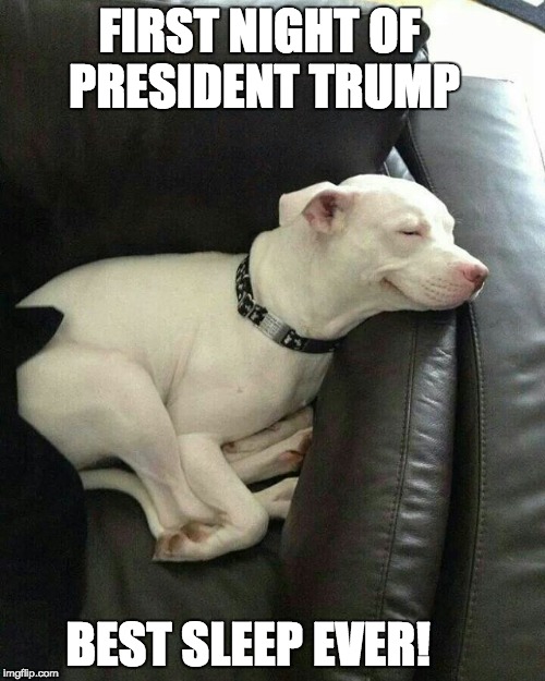 Albums 103+ Wallpaper Do Presidents Sleep In The Same Bed Full HD, 2k, 4k