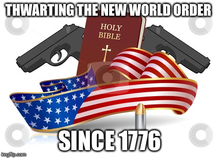 To the REPUBLIC for which it stands | THWARTING THE NEW WORLD ORDER; SINCE 1776 | image tagged in 2nd amendment,right to bear arms,america,republic,liberty,9/11 truth movement | made w/ Imgflip meme maker