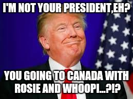 Prez | I'M NOT YOUR PRESIDENT,EH? YOU GOING TO CANADA WITH ROSIE AND WHOOPI...?!? | image tagged in president | made w/ Imgflip meme maker