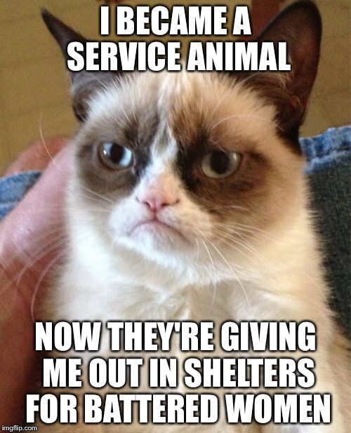 Grumpy Cat Meme | I BECAME A SERVICE ANIMAL NOW THEY'RE GIVING ME OUT IN SHELTERS FOR BATTERED WOMEN | image tagged in memes,grumpy cat | made w/ Imgflip meme maker
