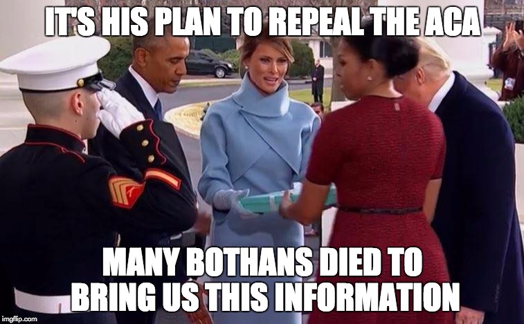 IT'S HIS PLAN TO REPEAL THE ACA; MANY BOTHANS DIED TO BRING US THIS INFORMATION | image tagged in melania gift to michelle | made w/ Imgflip meme maker