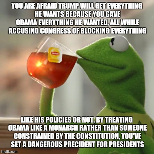 But That's None Of My Business | YOU ARE AFRAID TRUMP WILL GET EVERYTHING HE WANTS BECAUSE YOU GAVE OBAMA EVERYTHING HE WANTED, ALL WHILE ACCUSING CONGRESS OF BLOCKING EVERYTHING; LIKE HIS POLICIES OR NOT, BY TREATING OBAMA LIKE A MONARCH RATHER THAN SOMEONE CONSTRAINED BY THE CONSTITUTION, YOU'VE SET A DANGEROUS PRECIDENT FOR PRESIDENTS | image tagged in memes,but thats none of my business,kermit the frog | made w/ Imgflip meme maker