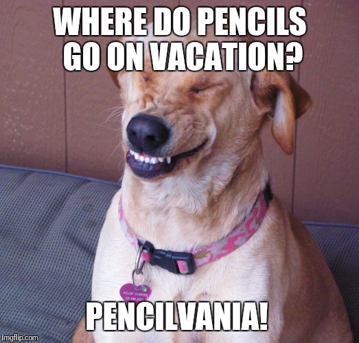 laughing dog | WHERE DO PENCILS GO ON VACATION? PENCILVANIA! | image tagged in laughing dog | made w/ Imgflip meme maker