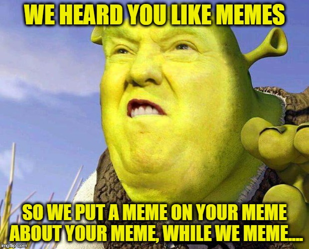 WE HEARD YOU LIKE MEMES; SO WE PUT A MEME ON YOUR MEME ABOUT YOUR MEME, WHILE WE MEME.... | image tagged in dank memes | made w/ Imgflip meme maker
