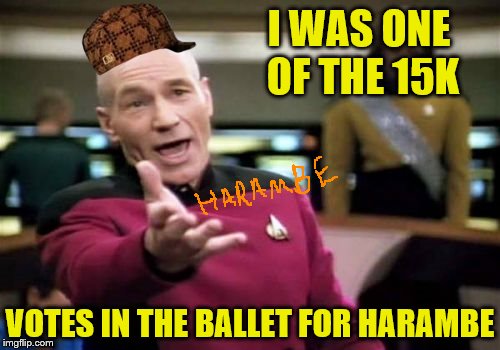 Picard Wtf | I WAS ONE OF THE 15K; VOTES IN THE BALLET FOR HARAMBE | image tagged in memes,picard wtf,scumbag | made w/ Imgflip meme maker