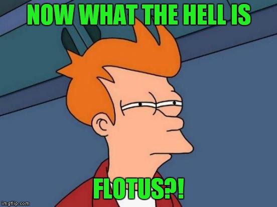 Futurama Fry Meme | NOW WHAT THE HELL IS FLOTUS?! | image tagged in memes,futurama fry | made w/ Imgflip meme maker
