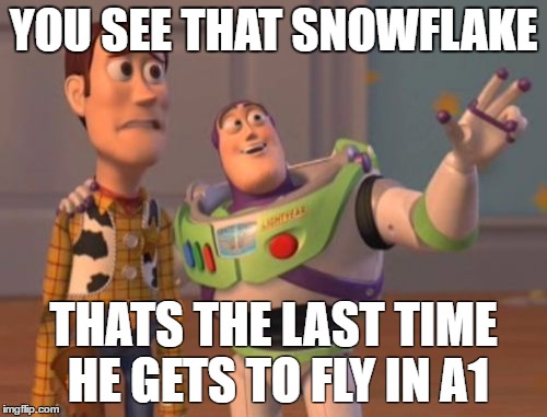 X, X Everywhere Meme | YOU SEE THAT SNOWFLAKE; THATS THE LAST TIME HE GETS TO FLY IN A1 | image tagged in memes,x x everywhere | made w/ Imgflip meme maker