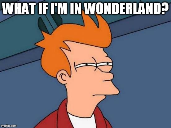 Futurama Fry Meme | WHAT IF I'M IN WONDERLAND? | image tagged in memes,futurama fry | made w/ Imgflip meme maker