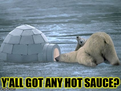 On the outside looking in | Y'ALL GOT ANY HOT SAUCE? | image tagged in here's johnny,polar bear,funny memes | made w/ Imgflip meme maker