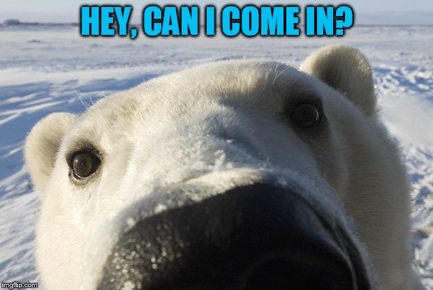 HEY, CAN I COME IN? | made w/ Imgflip meme maker