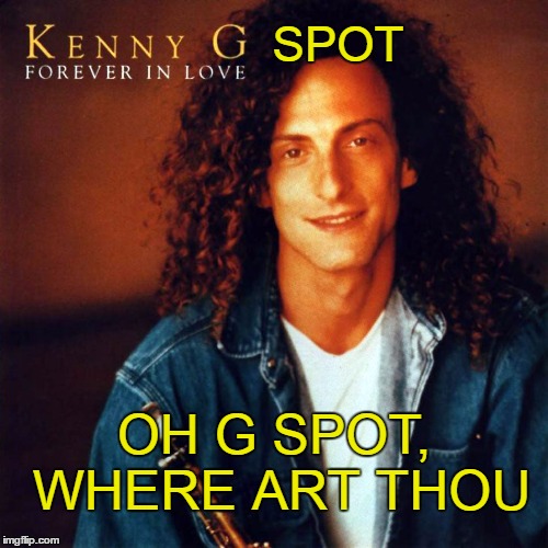 Bad album week: KenJ, Shabbyrose2 event. Kenny G Spot is just an undeveloped prostate gland. | SPOT; OH G SPOT, WHERE ART THOU | image tagged in bad album art week | made w/ Imgflip meme maker