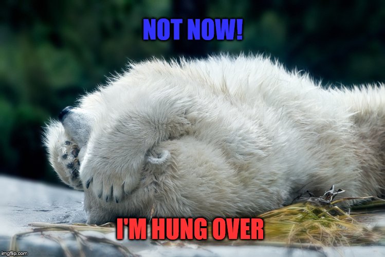 NOT NOW! I'M HUNG OVER | made w/ Imgflip meme maker