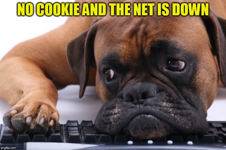 NO COOKIE AND THE NET IS DOWN | made w/ Imgflip meme maker